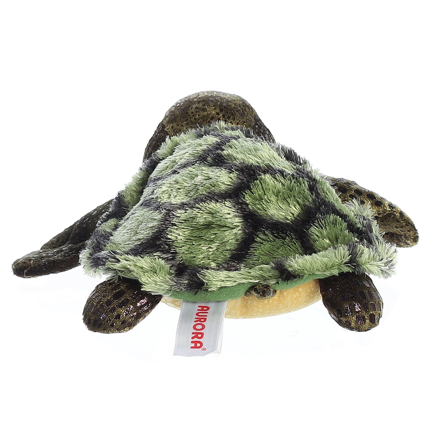 Splish Splash Turtle 8"