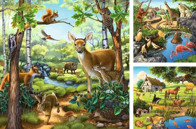 Forest/Zoo/Domestic Animals 3X49pc