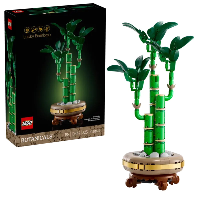 Botanicals Lucky Bamboo