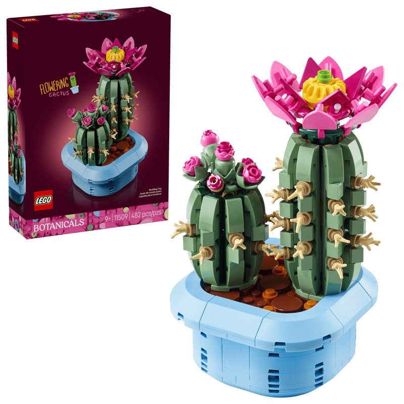 Botanicals Flowering Cactus