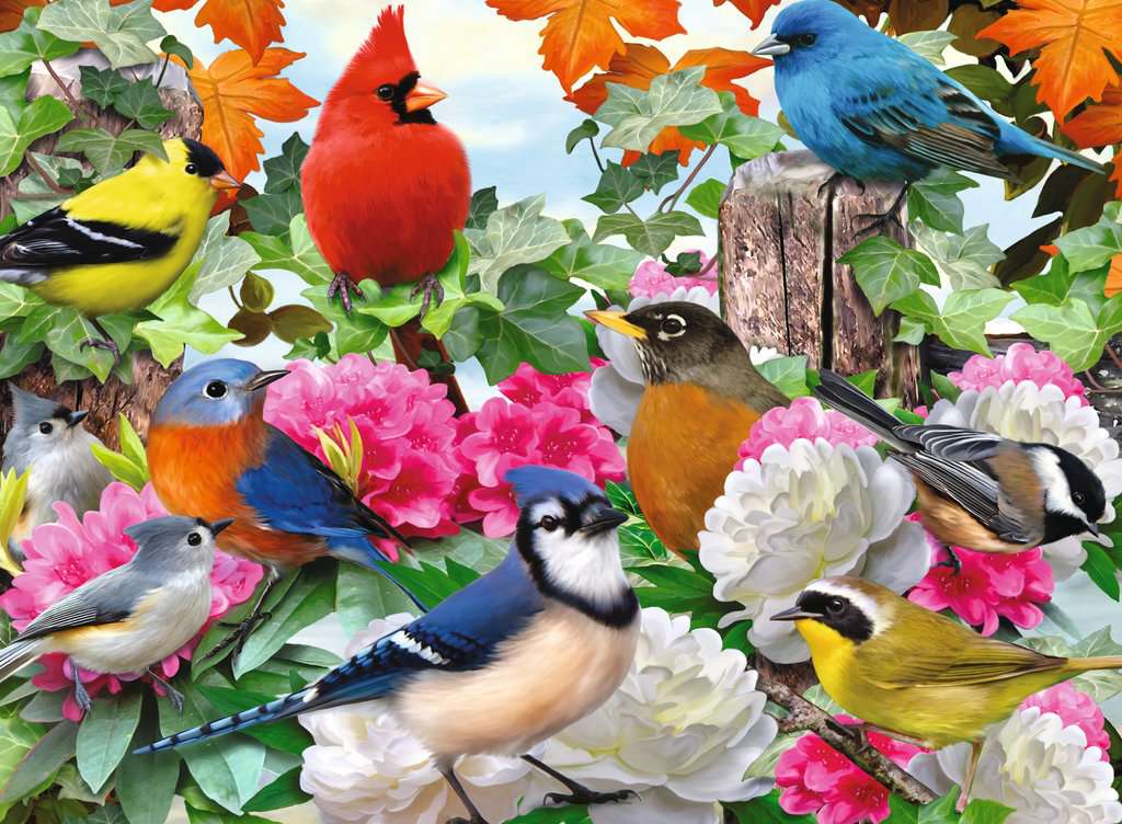 Garden Birds 500pc puzzle