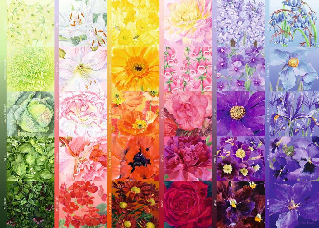 The Gardener's Palette 1000pc