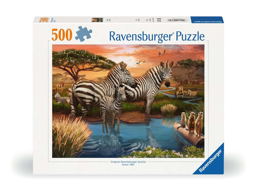 Zebras at the Waterhole 500pc