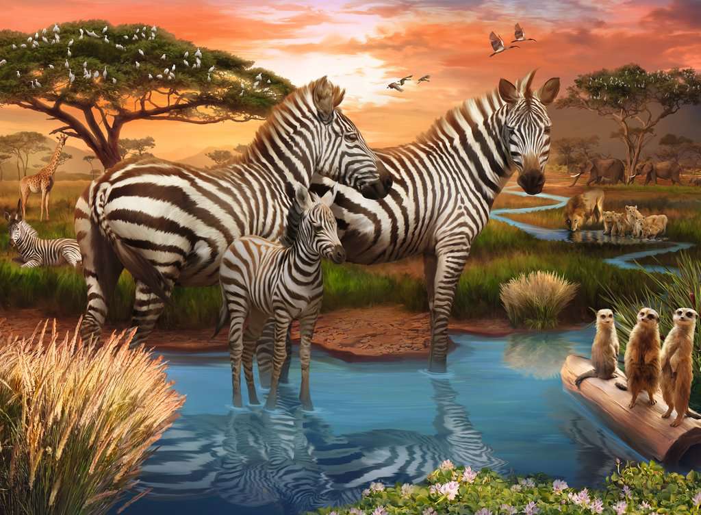 Zebras at the Waterhole 500pc