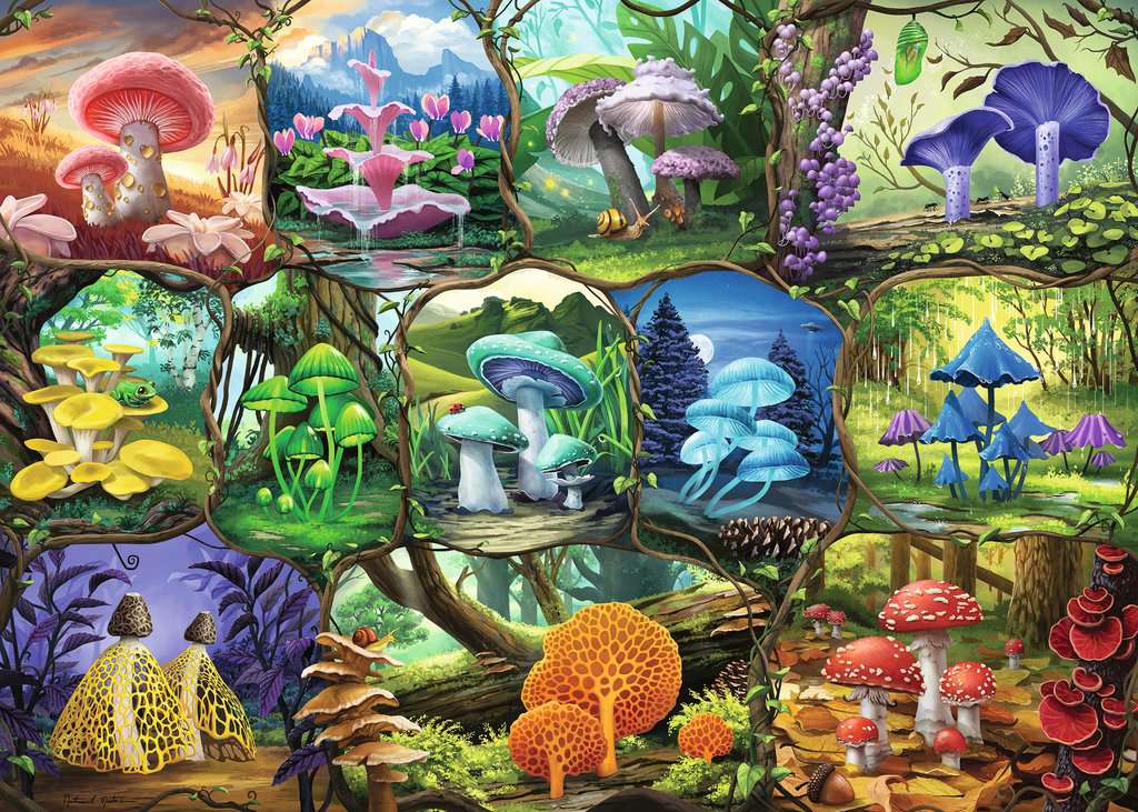 Beautiful Mushrooms 1000pc puzzle