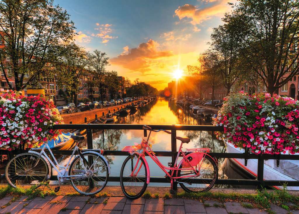 Bicycles in Amsterdam 1000pc
