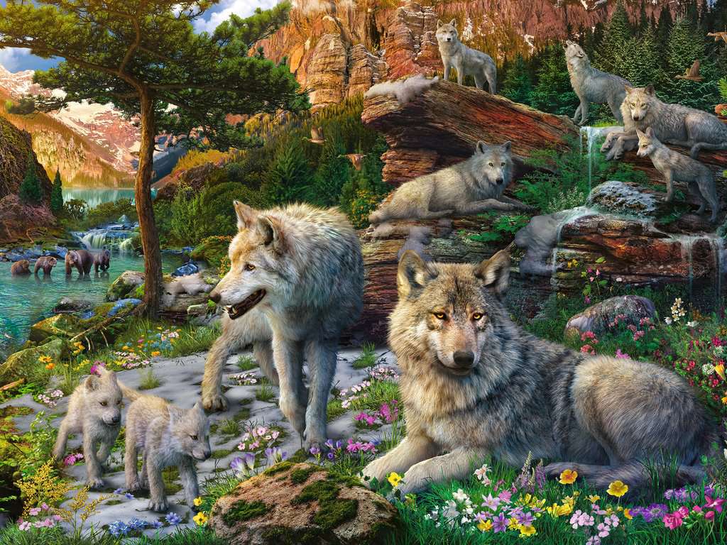 Wolves in Spring 1500pc