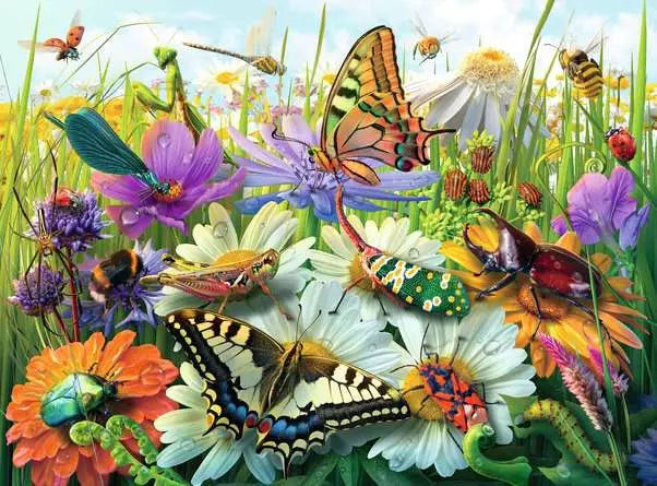 Wonderful World of Insects 100pc
