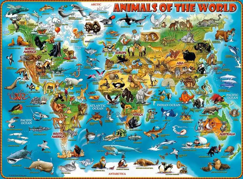 World of Animals 300pc