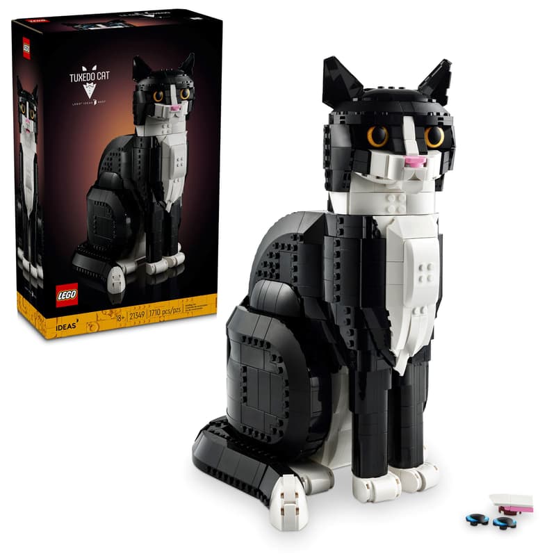 Ideas Tuxedo Cat