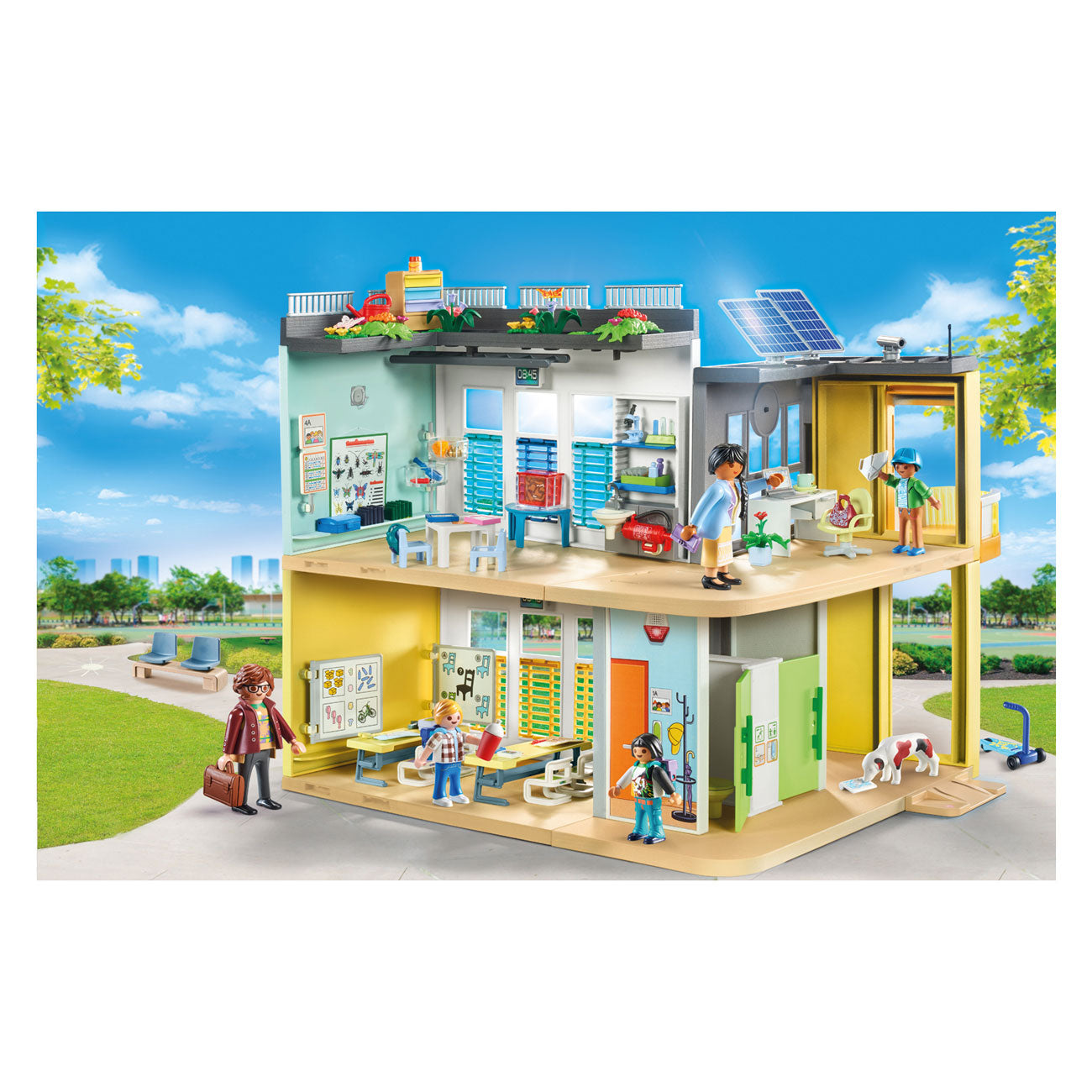 City Life Large School