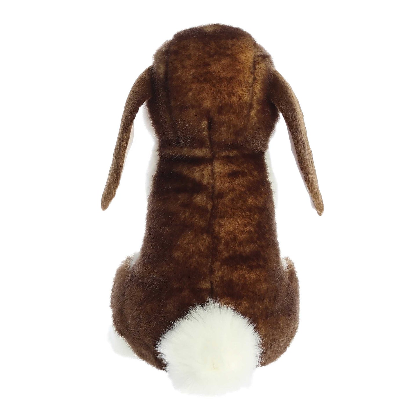 Miyoni Sitting Pretty English Lop Eared rabbit