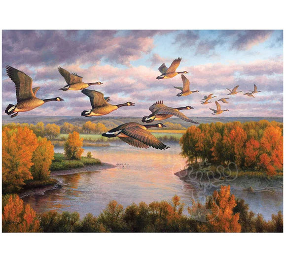 Migration 1000pc