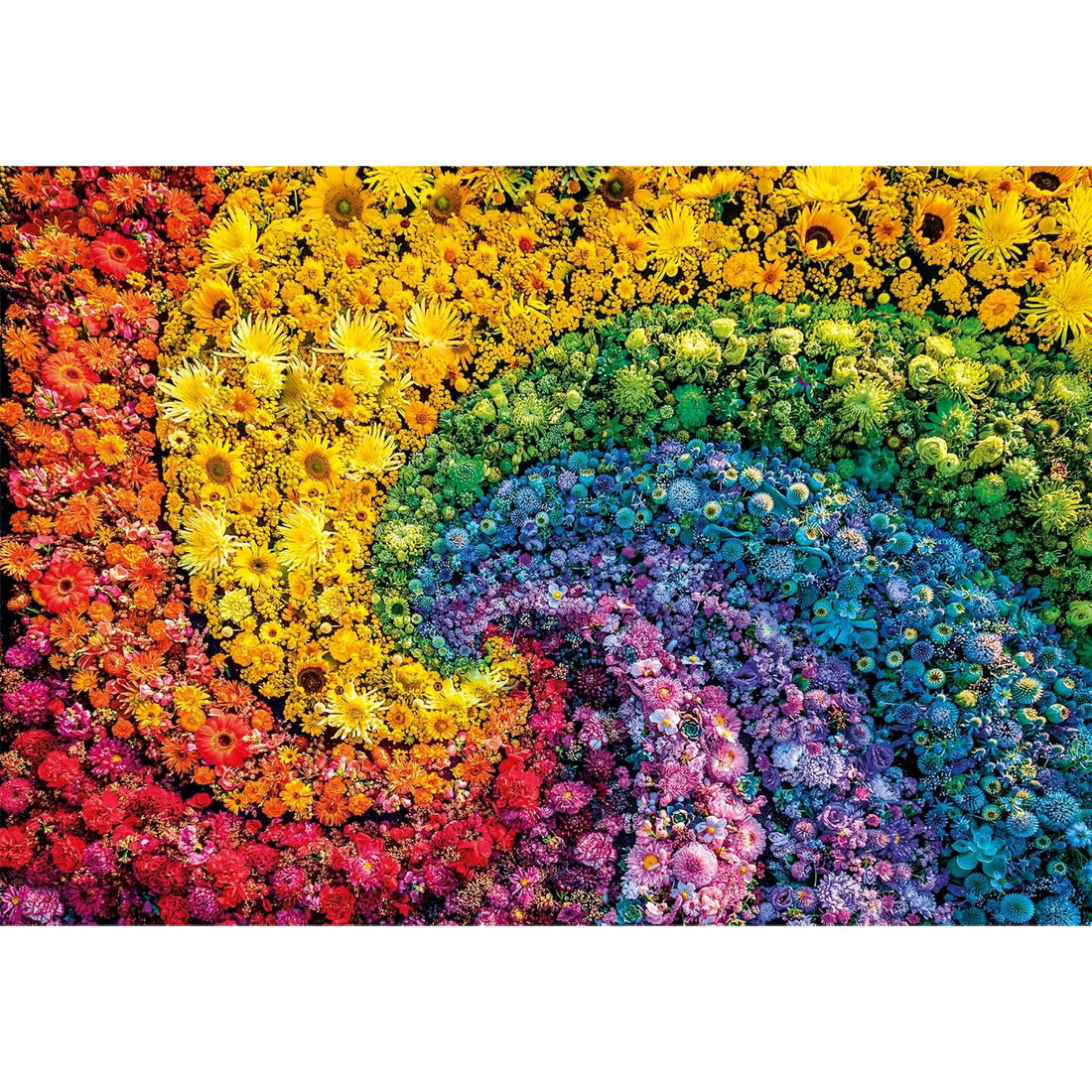 Color Boom: Whirl 1000pc