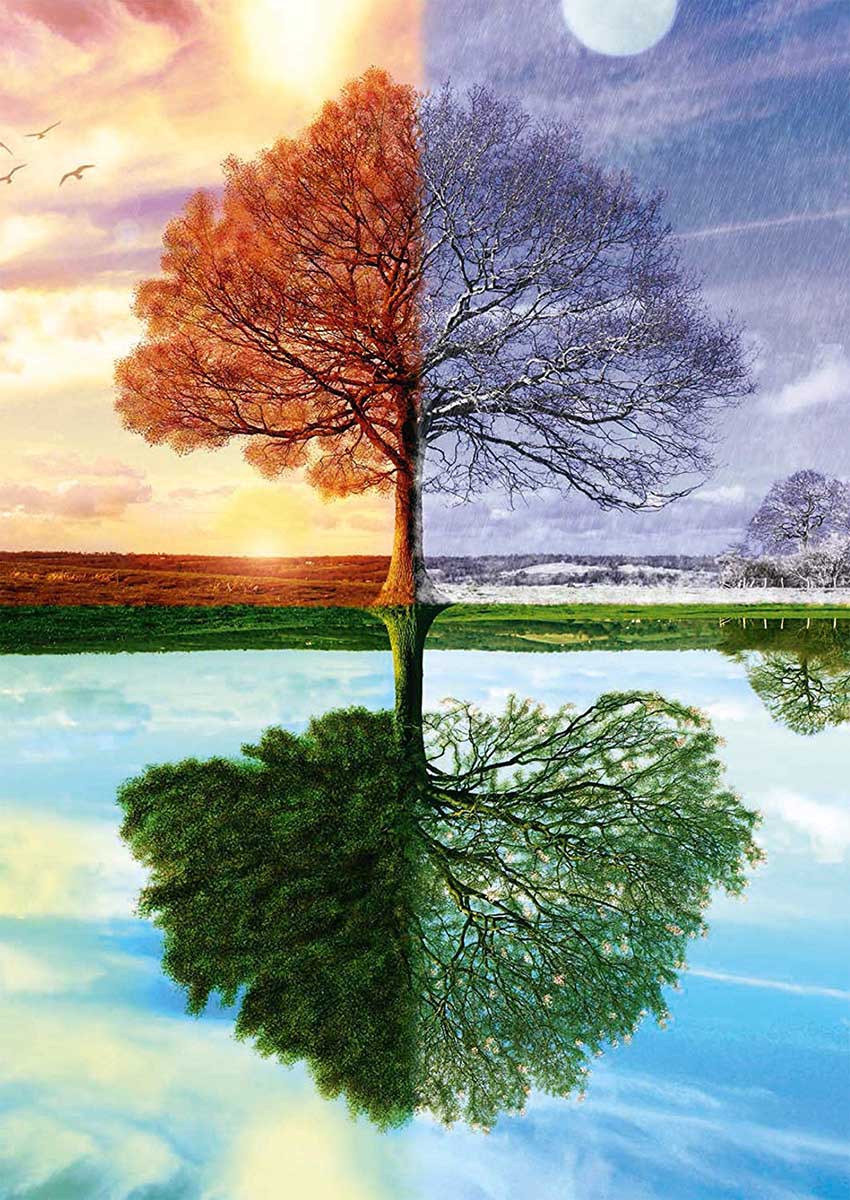 Tree of Four Seasons 500pc