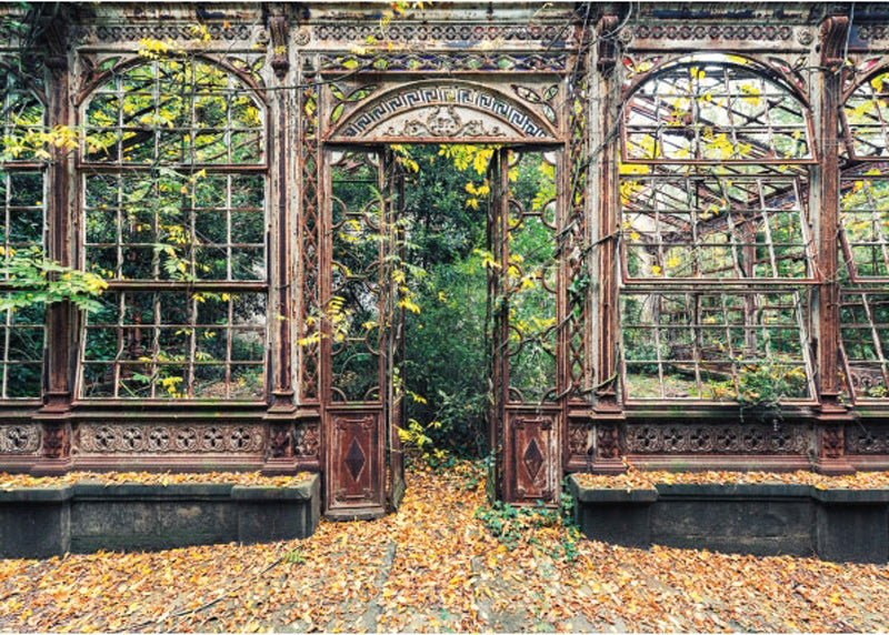 Arched Windows, Overgrown with Vegetation 1000pc