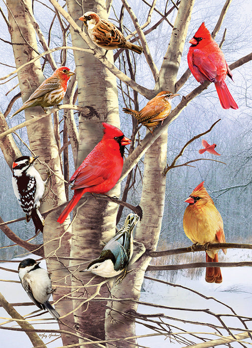 Winter Birds 1000pc