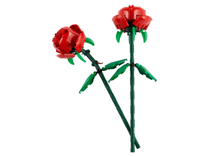 Botanical Roses