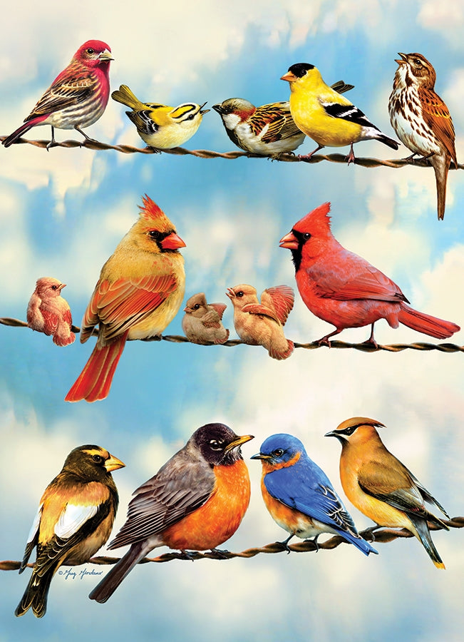 Birds on a Wire 500pc