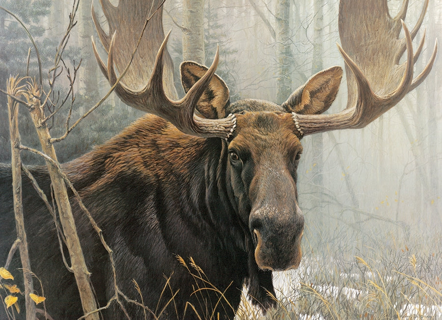 Bull Moose 500pc