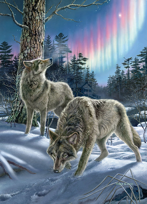Northern Lights 500pc jigsaw puzzle