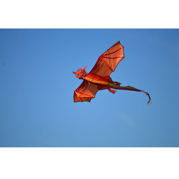 3D Dragon Kite Emberdcale