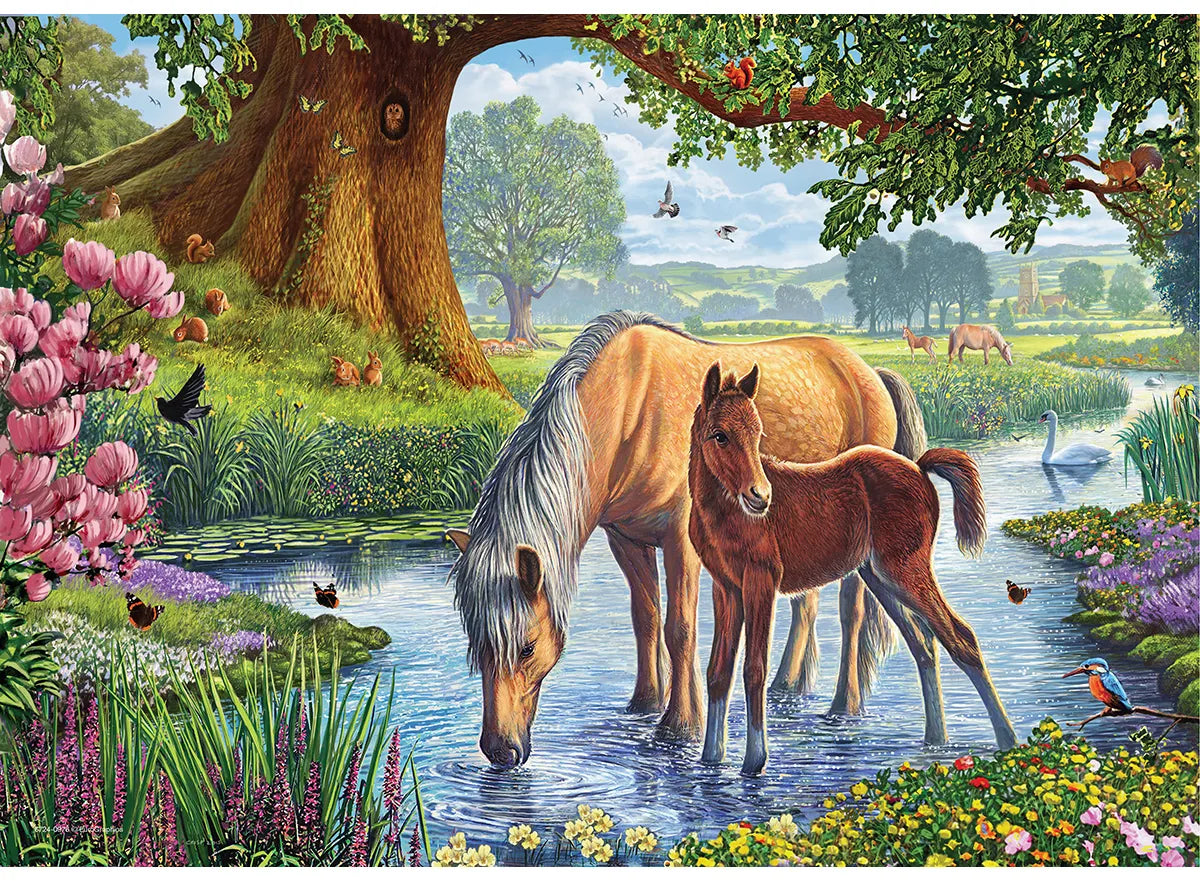 The Fell Ponies 24pc