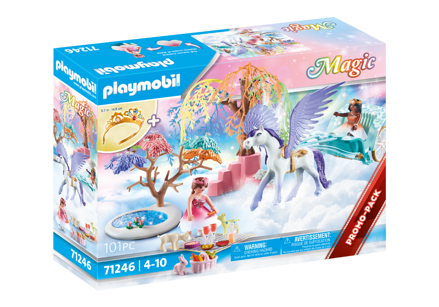 Magic Picnic with Pegasus Carriage