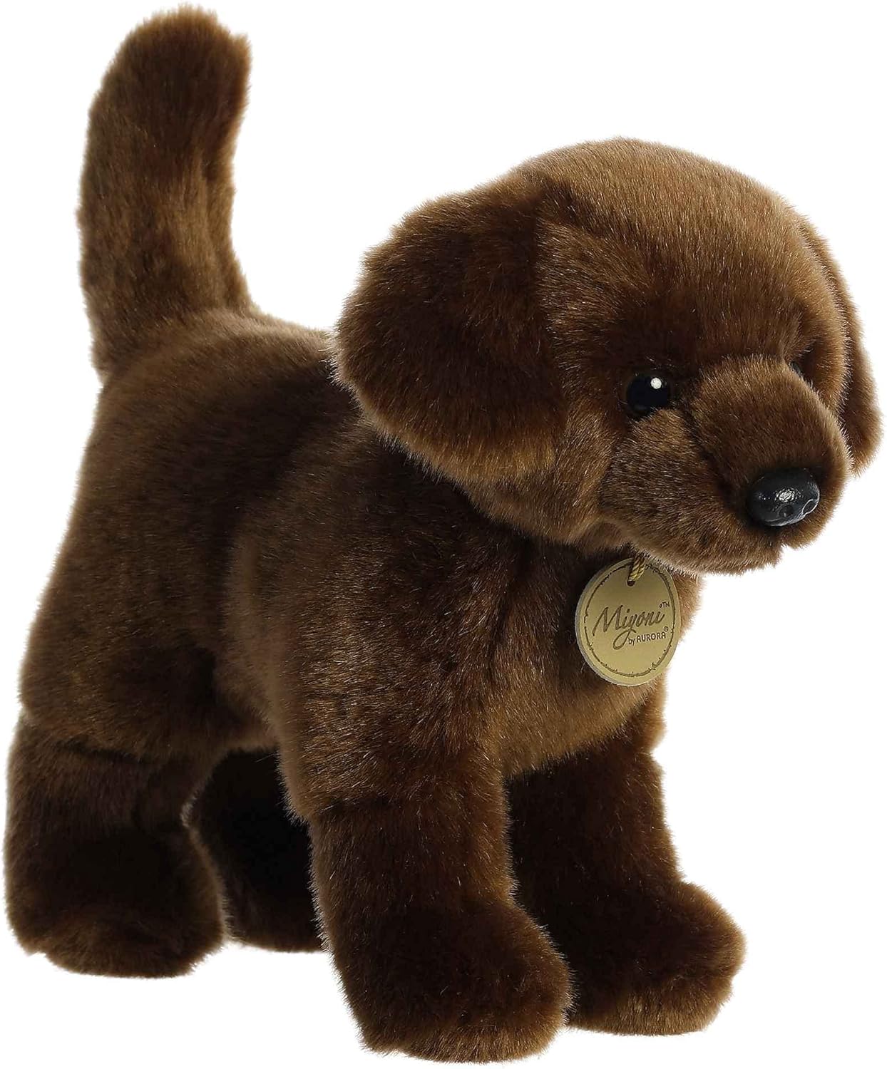 Miyoni Chocolate Lab 10"