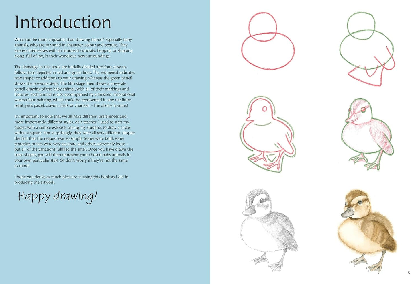 How to Draw Baby Animals in Simple Steps