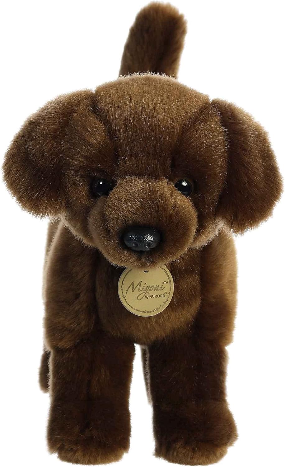 Miyoni Chocolate Lab 10"