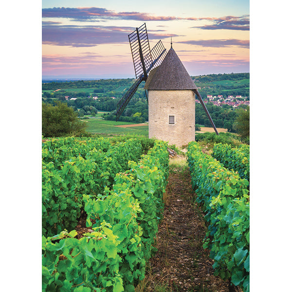 Moulin Sorine du Vignable de Santenay, Bourgogne 1000pc