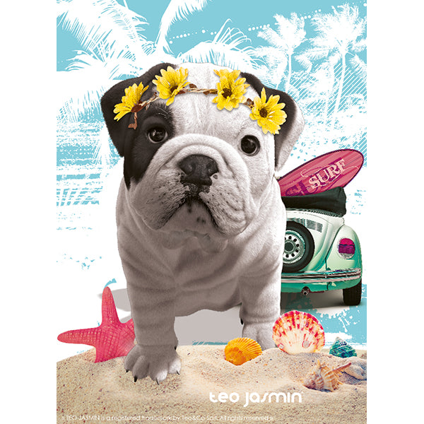Teo California 500pc