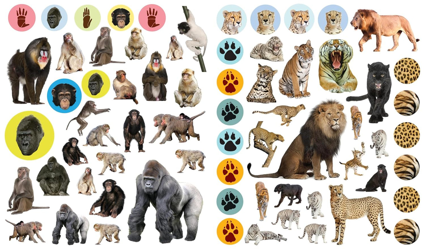 Eyelike Wild Animals Reusable Sticker Book