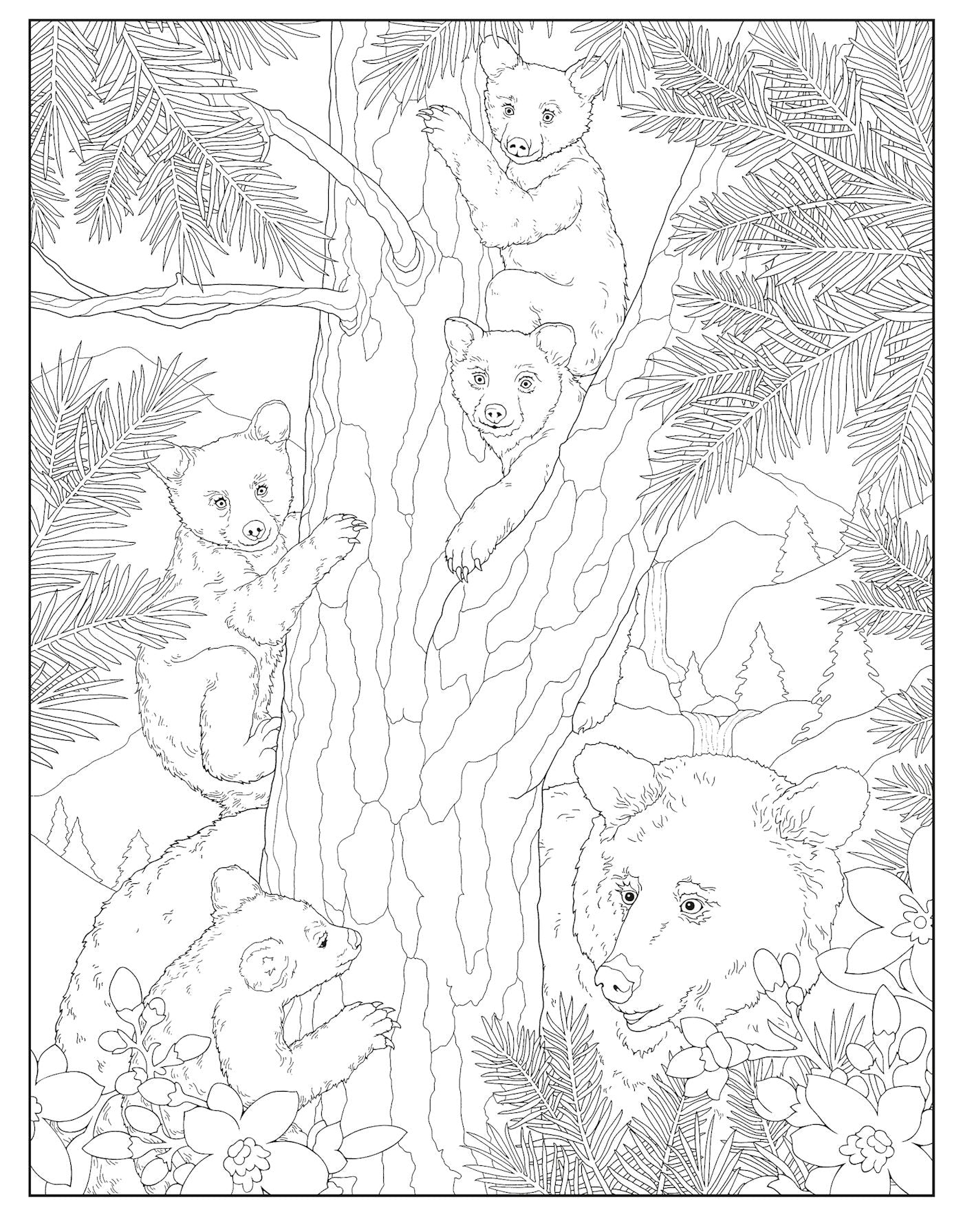 Loveable Baby Animals Coloring Book