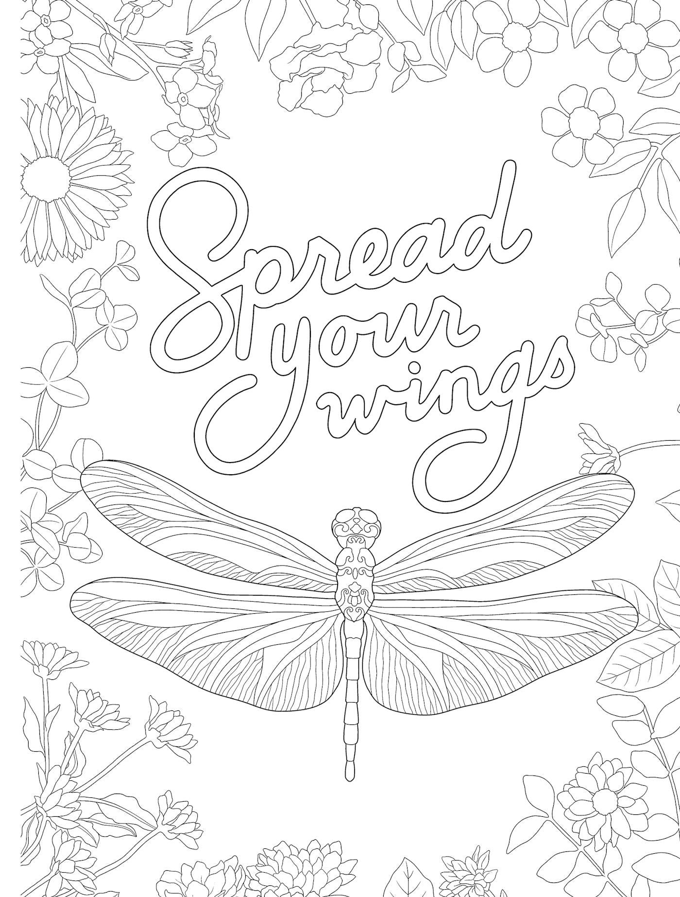 Pixie Dust Dreams Coloring Book