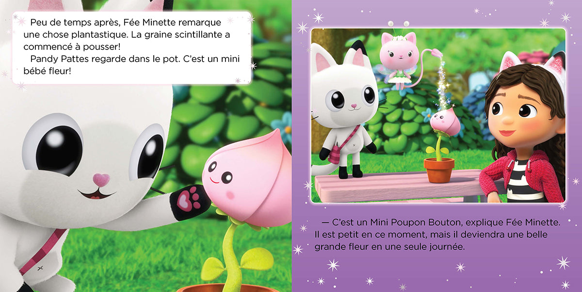 La Vegi-Magie de Fee Minette (french)