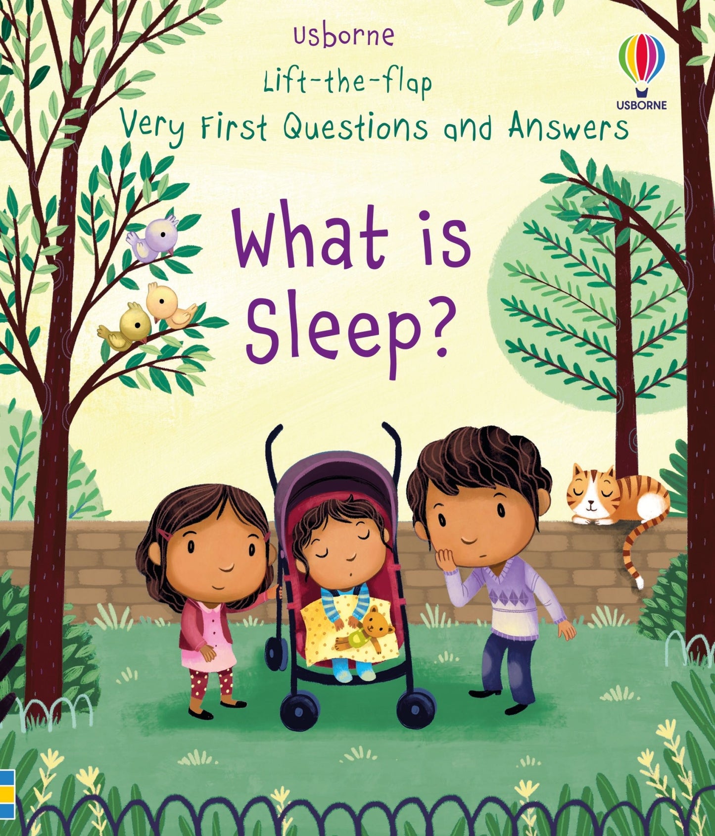 What is Sleep? lift the flap book