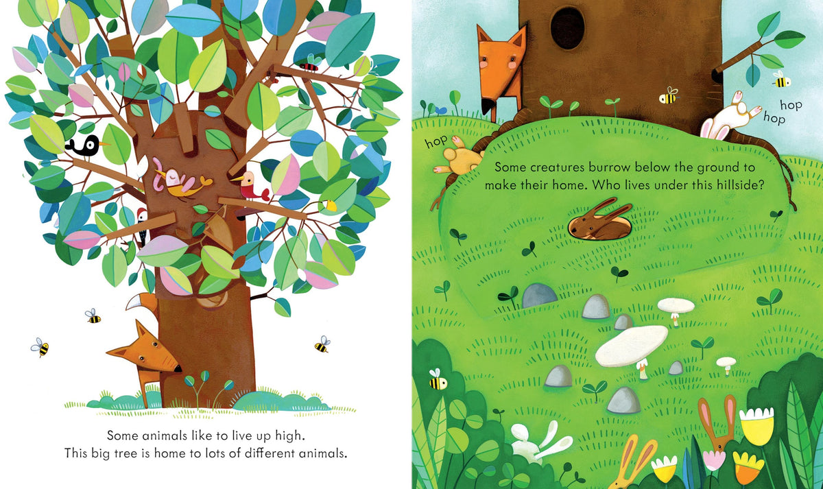 Peek Inside Animal Homes