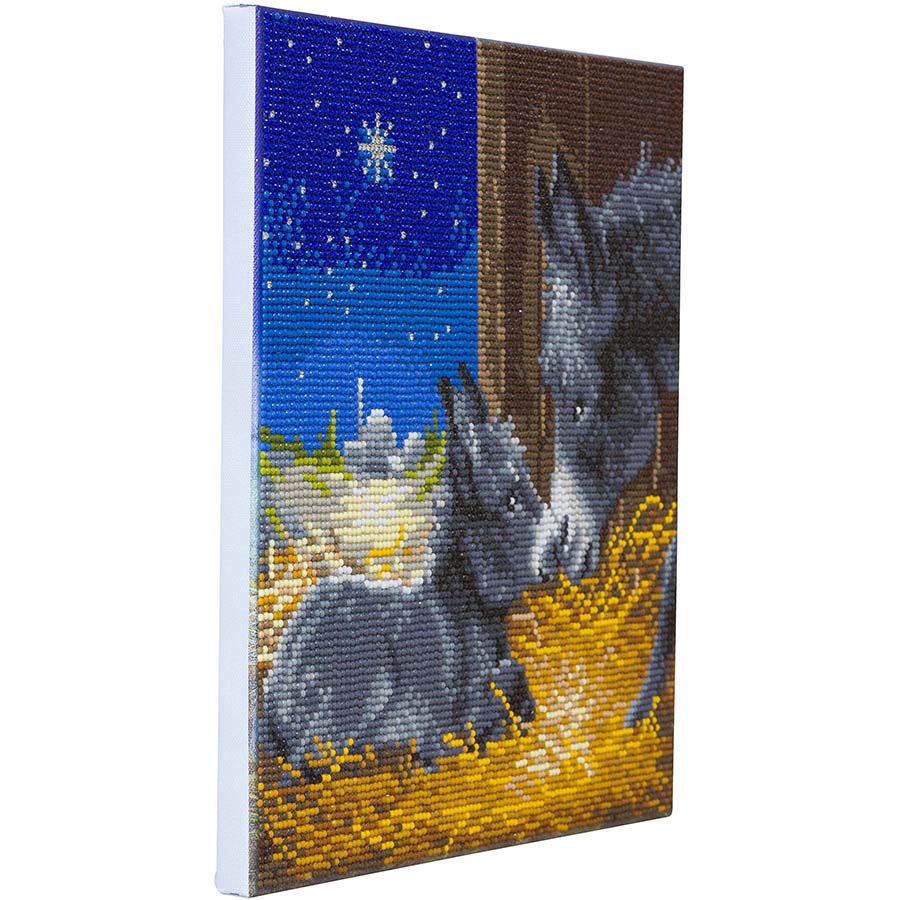Crystal Art Framed Canvas Art - Little Donkey 30 x 30cm