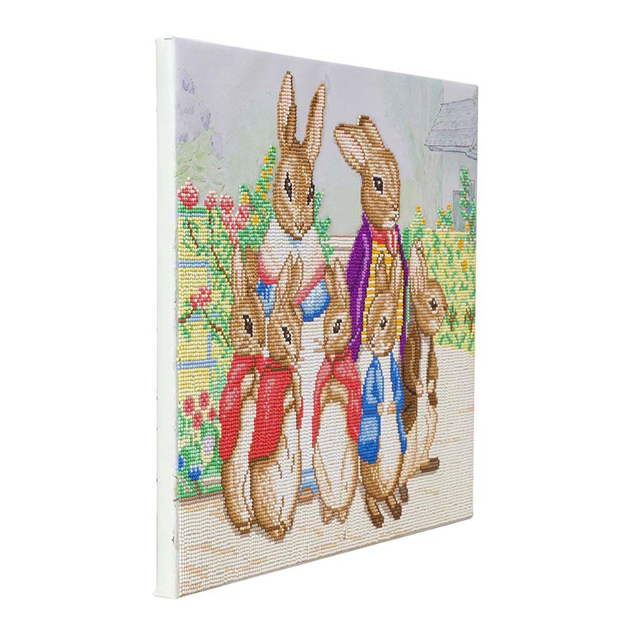 DIY Crystal Art - Peter Rabbit and Family 50 x 40cm