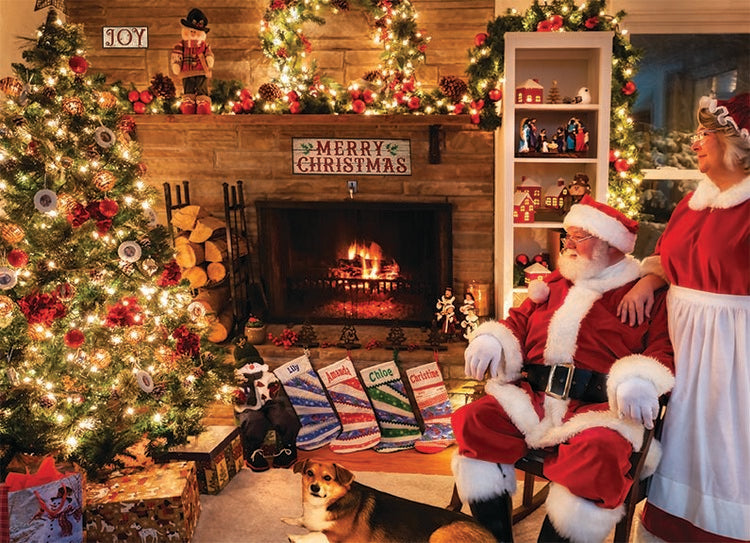 Contemplating Christmas 500pc