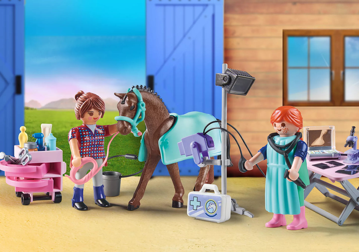 County Horse Veterinarian