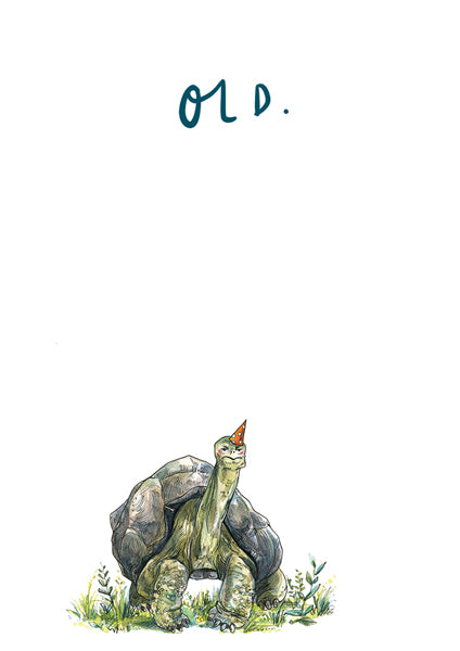 Old Tortoise