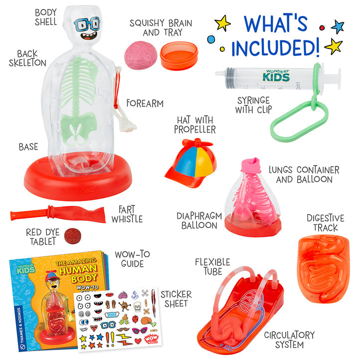 Wow in the World: The Amazing Human Body