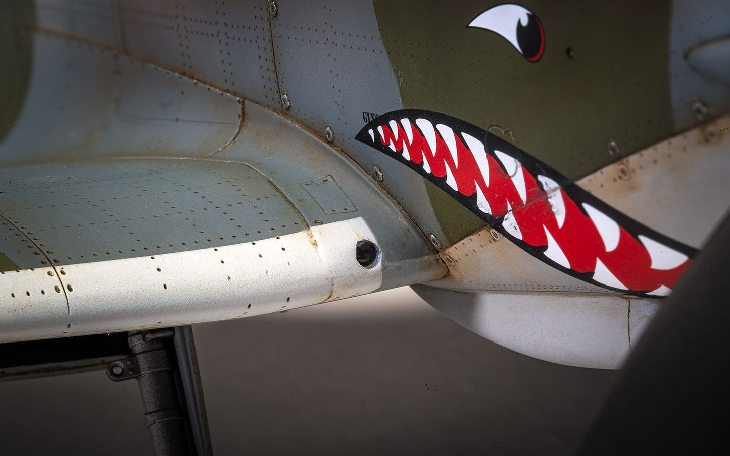 Supermarine Spitfire Mk.VIII 1/24