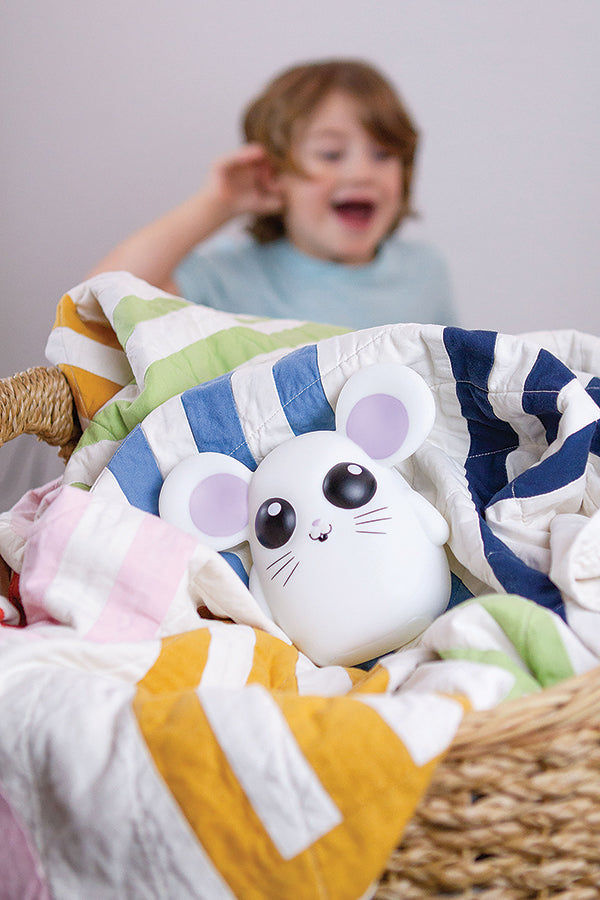 Where's Squeaky? The Interactive Hide-asnd-Seek Game