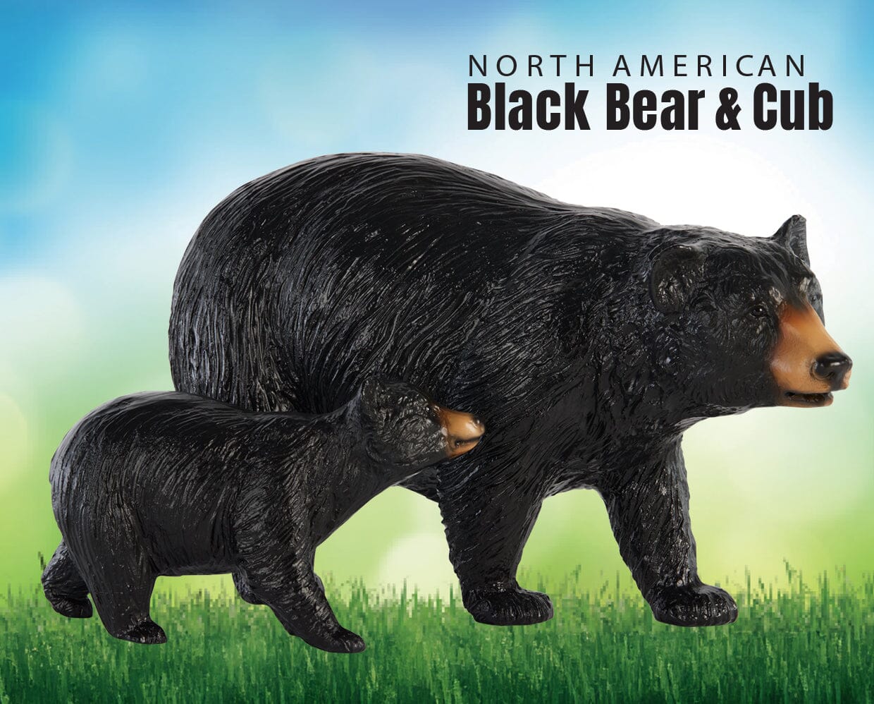 North American Black Bear & Cub