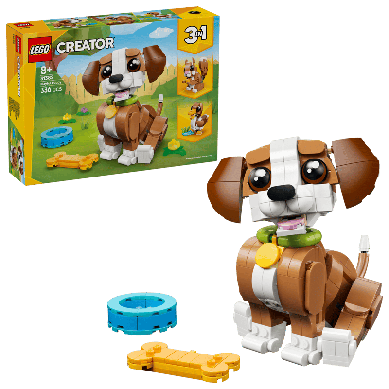 Creator Playful Puppy