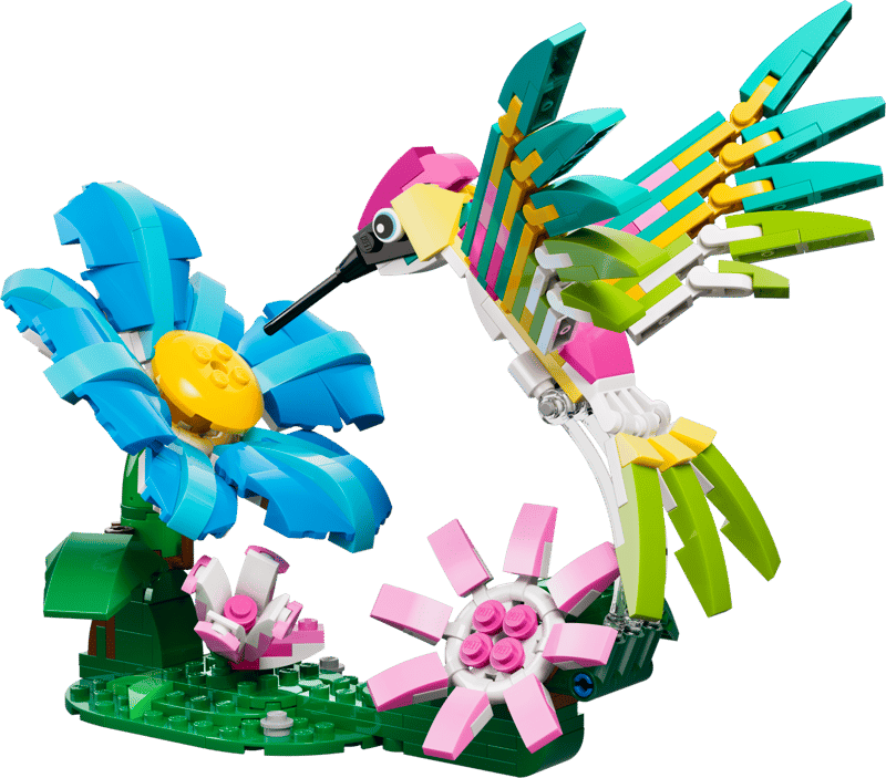 Creator Colorful Hummingbird